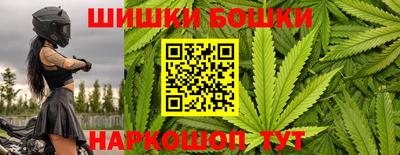 стаф Бузулук