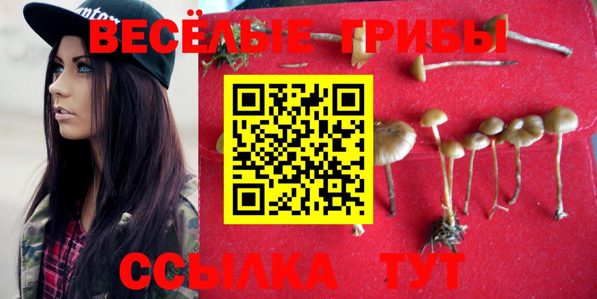 Пермь  цена   Вход с VPN  Псилоцибиновые грибы Magic Shrooms  Галлюциногенные грибы мицелий 