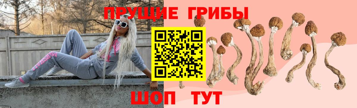 Галлюциногенные грибы Cubensis Пермь